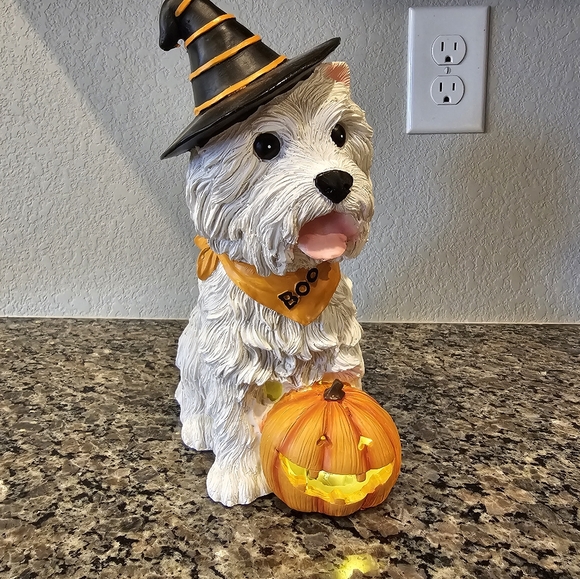 Adorable Halloween Dog with Hat and Pumpkin - Excellent Condition - Picture 1 of 4